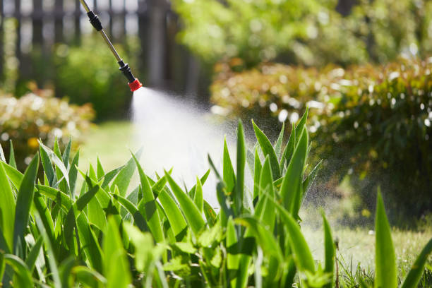 24/7 Emergency Mosquito Control experts in Franklin Furnace, OH
