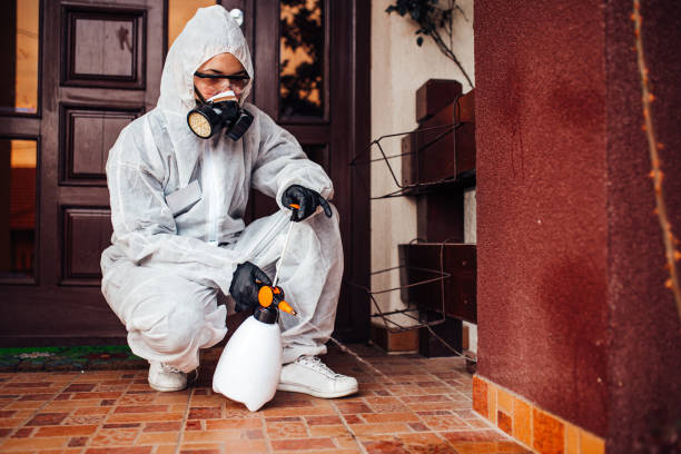 Reliable Mosquito Control contractor in Franklin Furnace, OH by Nex Pest Control