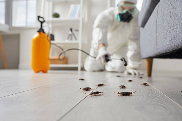 Trusted Termite Control service in Franklin Furnace, OH - Nex Pest Control